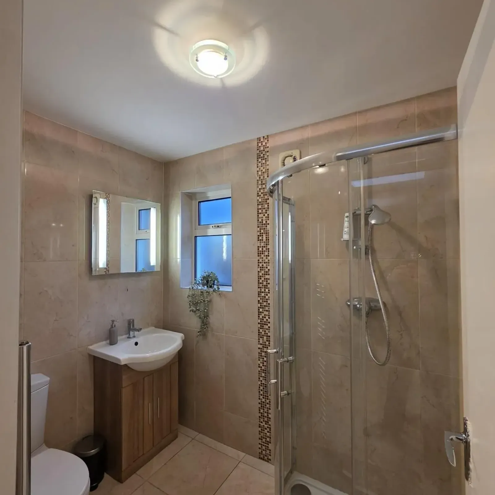 Entire in Dublin 16, Dundrum